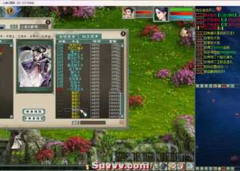 大话之物集西游【心拾大话5族超变版】6000团的+视频教程