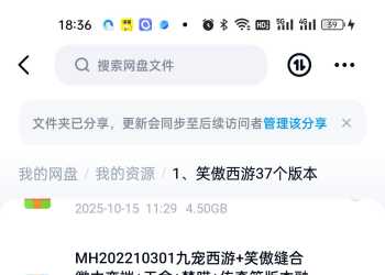 笑傲梦幻西游37个版本