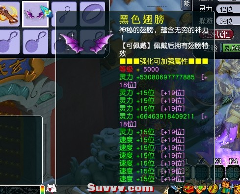 11.jpg